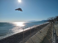 Гостевой дом «Уютный дворик» фото 9