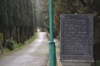 Алупка Гостевой дом «Утес» (эллинг 153) фото