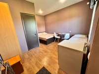 Частный дом «Розовая пантера» - номер 3Х местный Комфорт фото 2