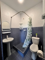 Частный дом «Розовая пантера» - номер 3Х местный Комфорт фото 6