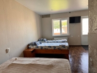 Частный дом «Розовая пантера» - номер 4Х местный Комфорт фото 2