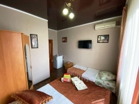 Гостевой дом «Lion» - номер «Стандарт» 3-х местный фото