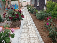 База отдыха «Лукоморье» фото 13