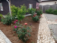 База отдыха «Лукоморье» фото 11