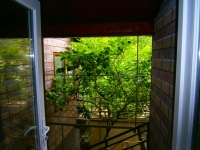 Гостевой дом «Усадьба» фото 14