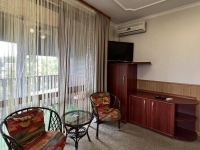 Вилла «Гармония» - номер «Комфорт» 1-комнатный фото 9