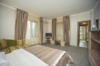 Вилла «Гармония» - номер «Люкс» 2-х комнатный фото 10