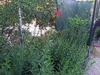 Апартаменты «Snug House» фото 12