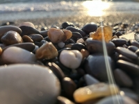 Гостевой дом ул. Трудовая, 25